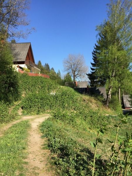 Ein Schotterweg führt zu einem Haus auf einem Hügel, umgeben von Bäumen und Gras.